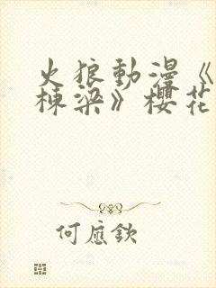 火狼动漫《夜勤栋梁》樱花全集