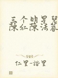 三个明星儿媳妇陈红陈法蓉小说封面