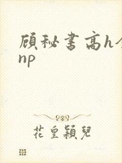 顾秘书高h全肉np
