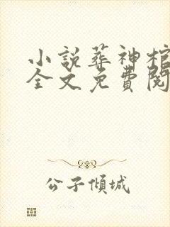 小说葬神棺在线全文免费阅读