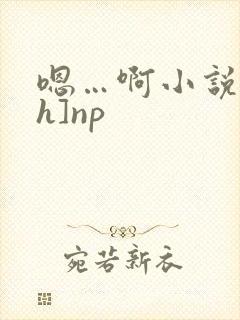 嗯…啊小说[高h]np
