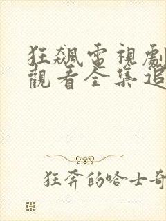 狂飙电视剧免费观看全集追剧网