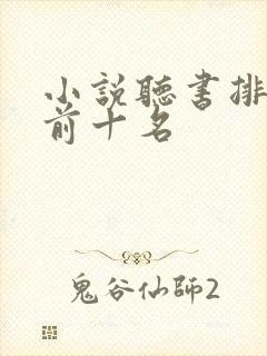 小说听书排行榜前十名封面