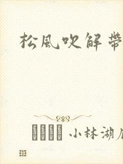 松风吹解带封面