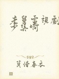 老舅电视剧共多少集啊