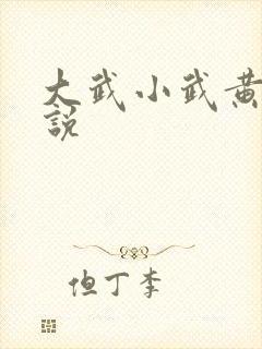 大武小武黄蓉小说