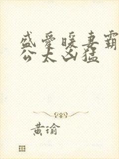 盛爱暖妻霸道老公太凶猛