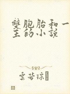 双胞胎和一个女主的小说