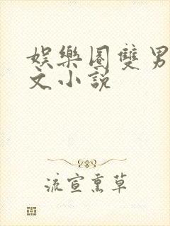 娱乐圈双男主甜文小说