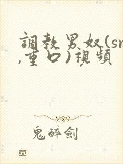 调教男奴(sm,重口)视频