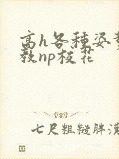 高h各种姿势调教np校花