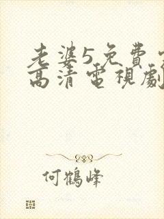 老婆5免费完整高清电视剧在线观看