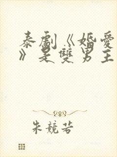 泰剧《婚爱背后》是双男主吗封面