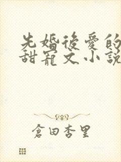 先婚后爱的古言甜宠文小说