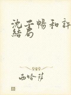 沈子畅和许言的结局