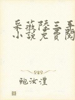采薇陆三平养父小说免费阅读