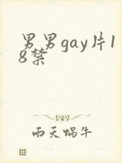 男男gay片18禁