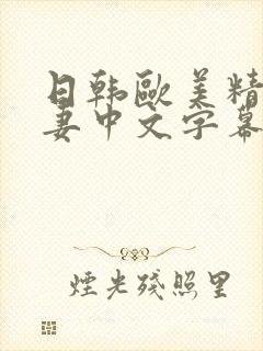 日韩欧美精品人妻中文字幕封面