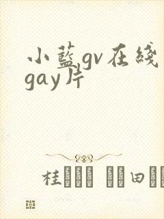 小蓝gv在线看gay片封面