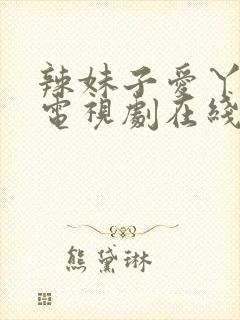辣妹子爱丫爱丫电视剧在线观看
