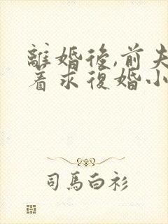 离婚后,前夫哭着求复婚小说免费阅读封面