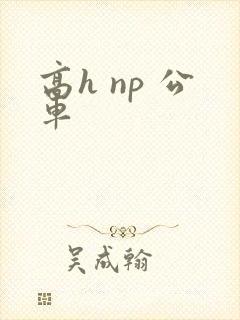 高h np 公车