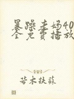 暴躁老妈40集全免费播放电视剧视频