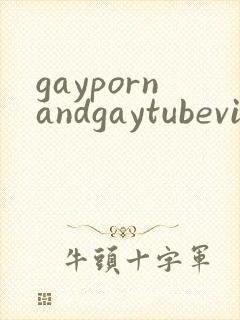 gaypornandgaytubevideos