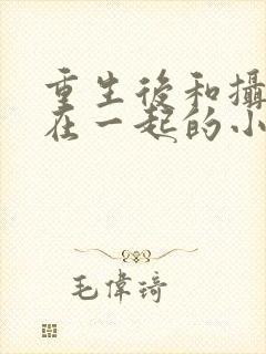 重生后和摄政王在一起的小说