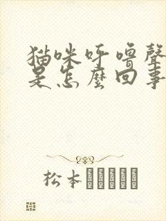 猫咪呼噜声很大是怎么回事封面