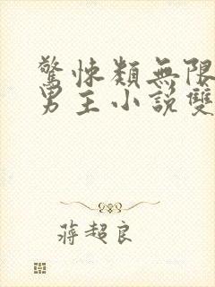 惊悚类无限流双男主小说双强