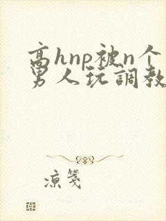 高hnp被n个男人玩调教封面
