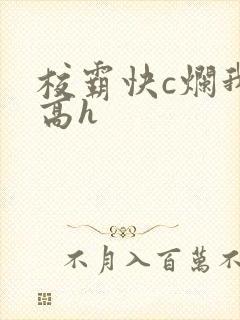 校霸快c烂我了高h