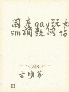 国产gay玩奴sm调教网站封面