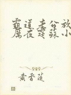 霸道老公放肆爱厉夜霆苏小汐