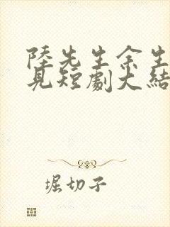 陆先生余生不再见短剧大结局