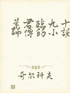 叶君临九十九个师傅的小说