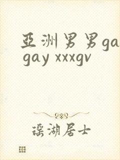亚洲男男gay gay xxxgv