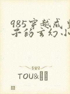 985穿越成皇子的玄幻小说封面