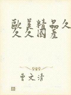 欧美精品久久久久久国产