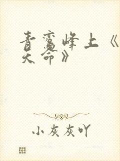 青鸾峰上《无敌天命》封面