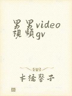 男男video视频gv