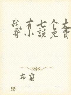我有七个大佬哥哥小说免费阅读无弹窗