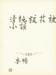 清纯校花被调教小说