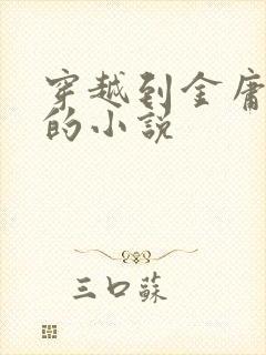 穿越到金庸武侠的小说