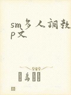 sm多人调教np文