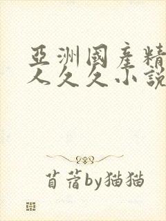 亚洲国产精品成人久久小说封面