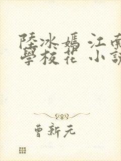 陆冰嫣 江南大学校花 小说封面