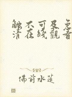 触不可及免费高清在线观看