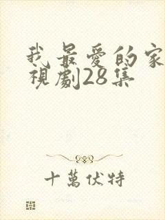 我最爱的家人电视剧28集